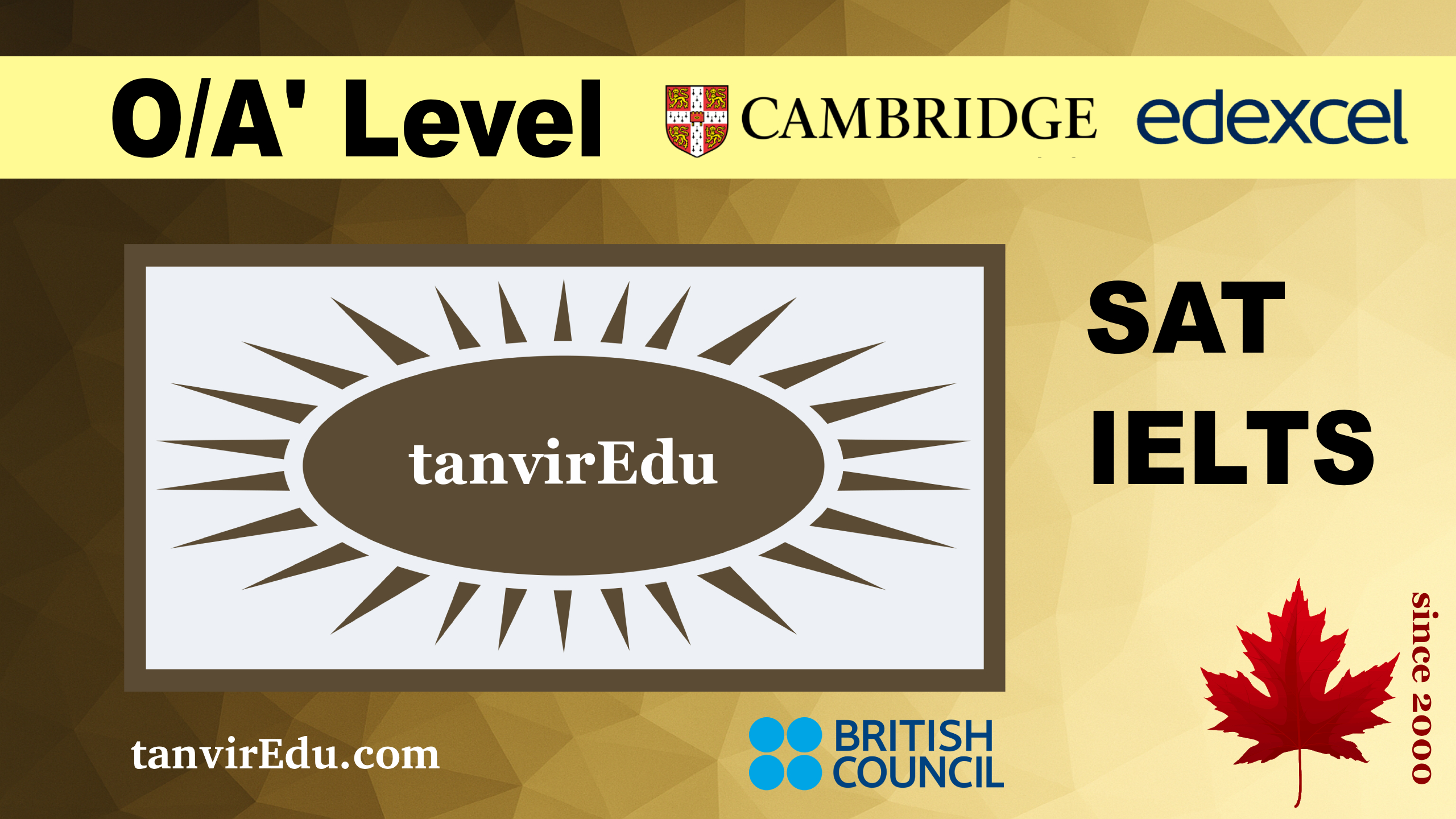 tanviredu-school-banner